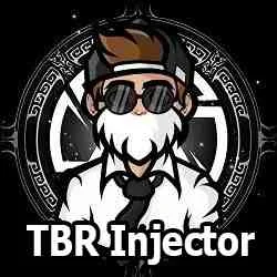 Top 5 Best FF Injectors